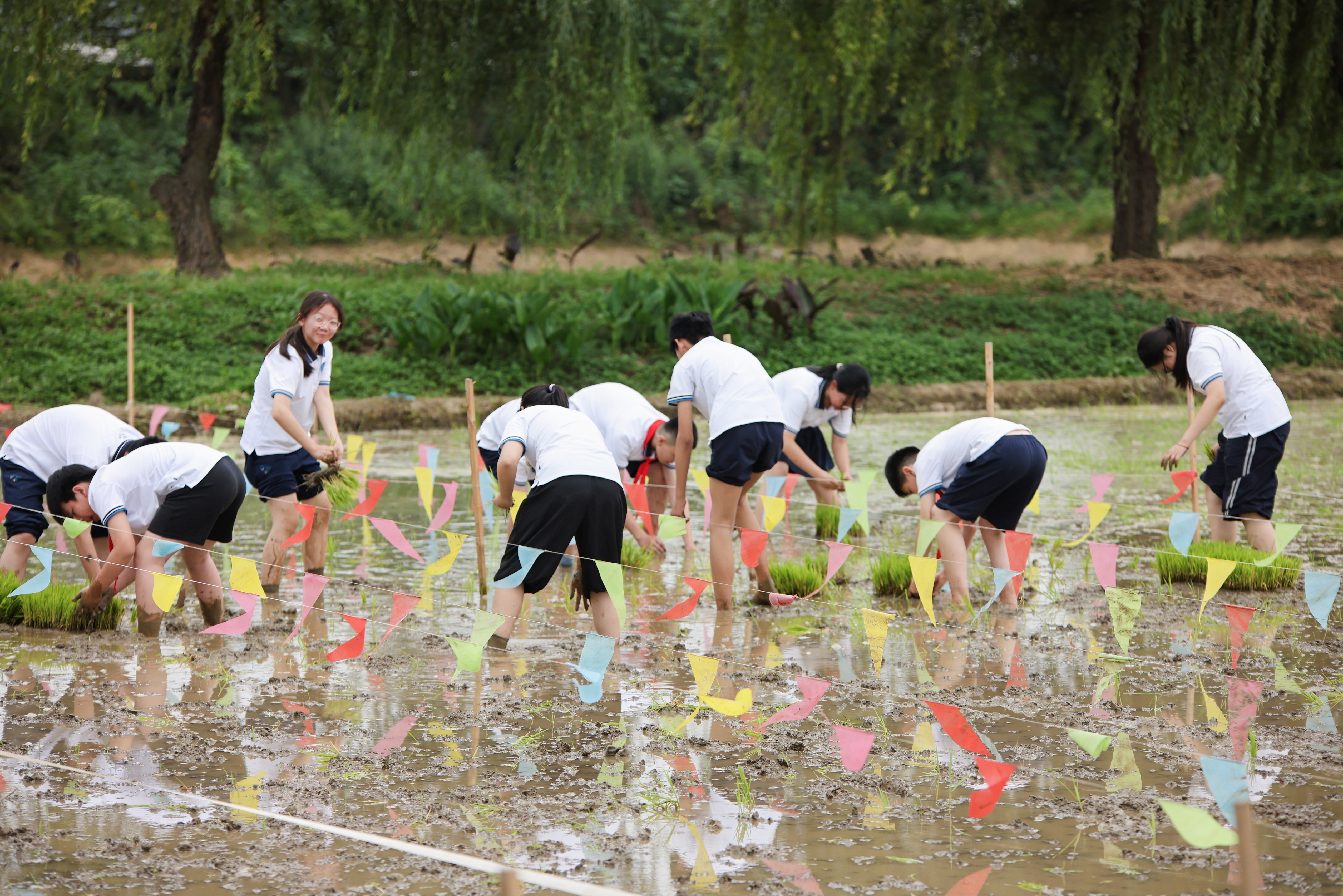海川中学农耕研学